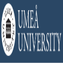 2 PhD Positions in Medical Sciences or Physics at Umea University, Sweden